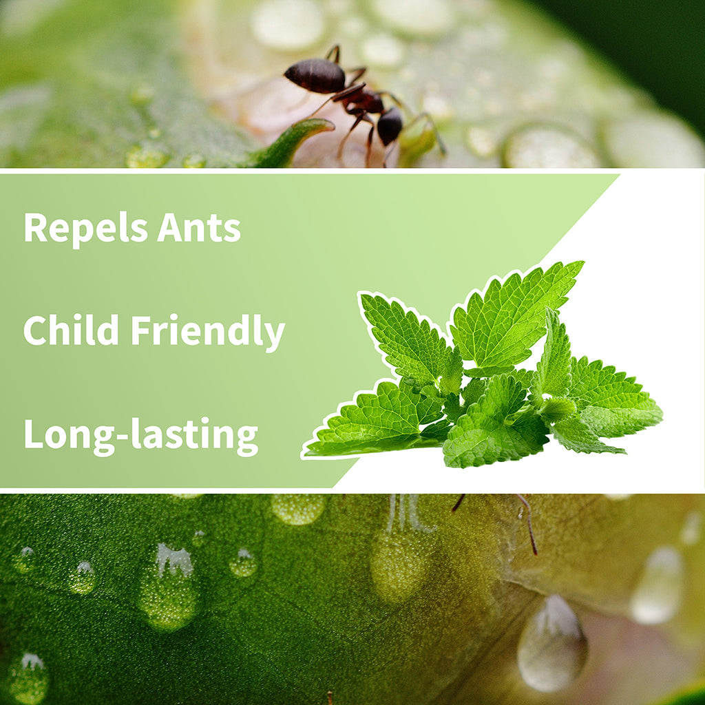 Ant Spray