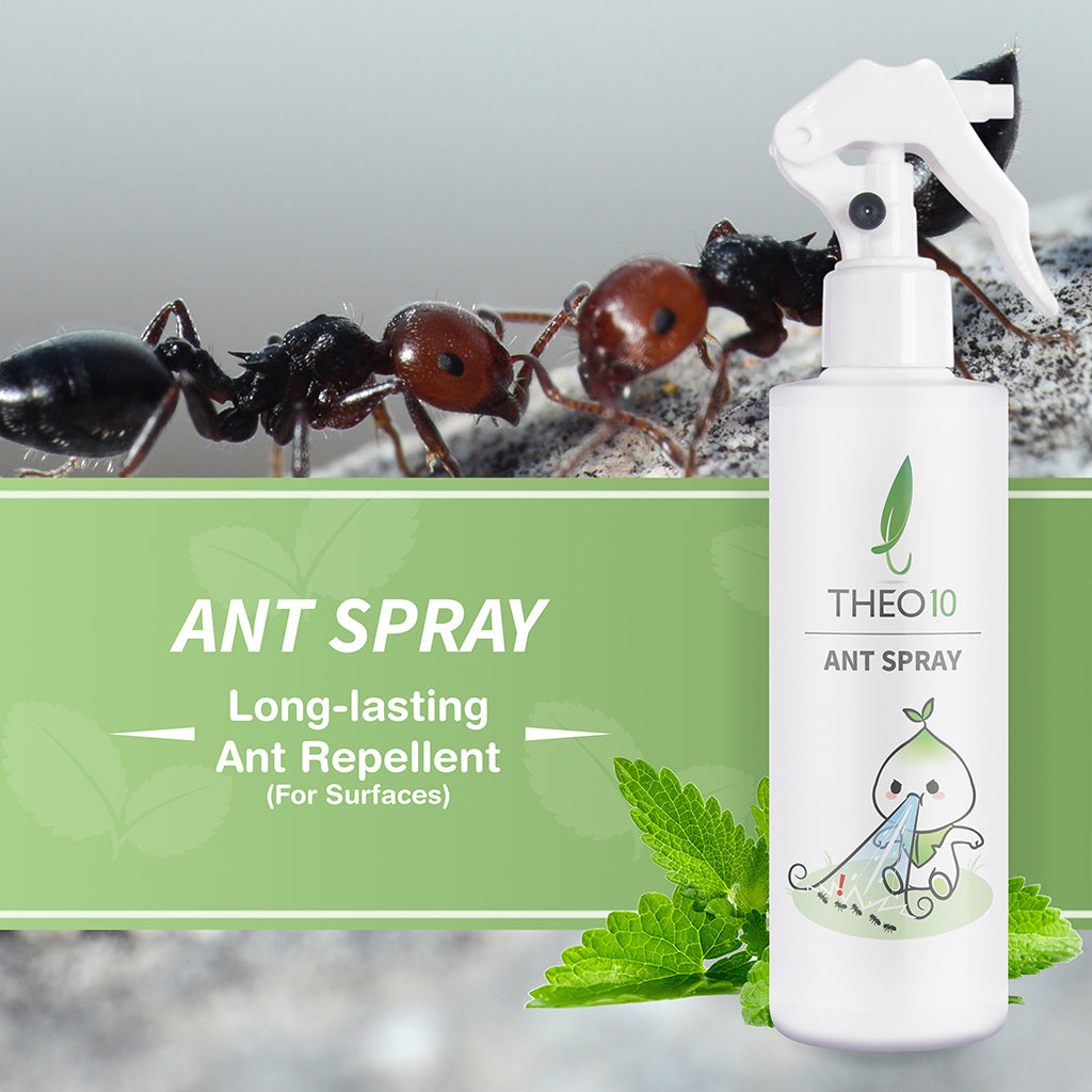 Ant Spray