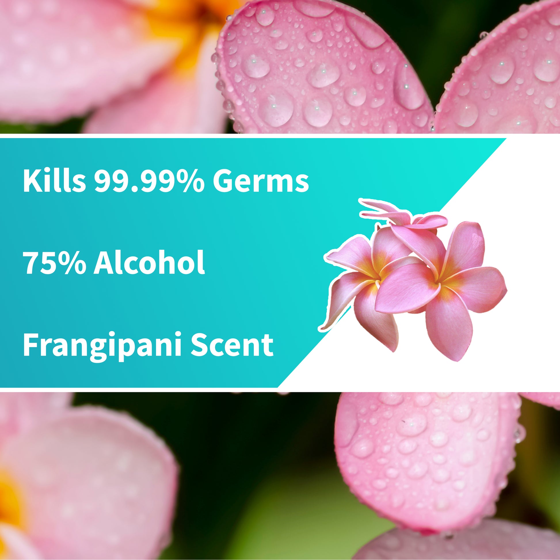 Disinfectant